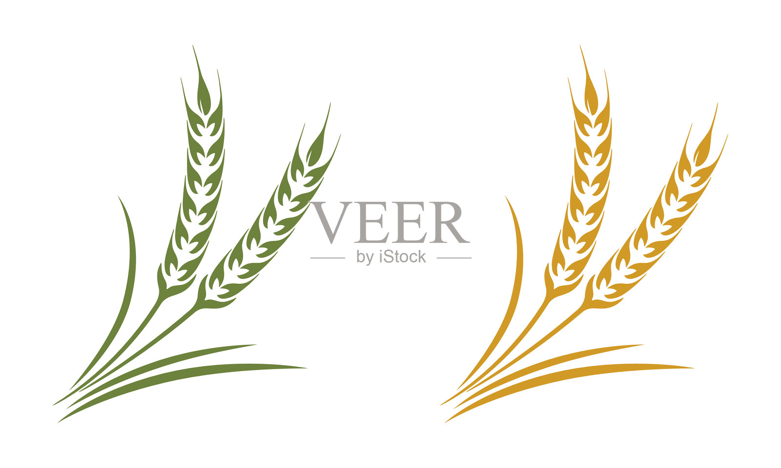 小麦插画图片素材