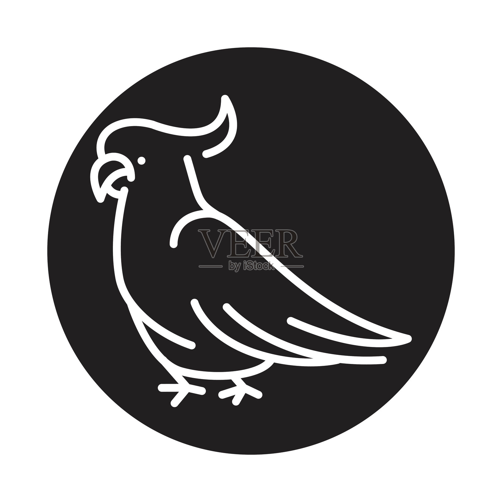 澳大利亚鹦鹉黑线插图。澳大利亚的动物。插画图片素材