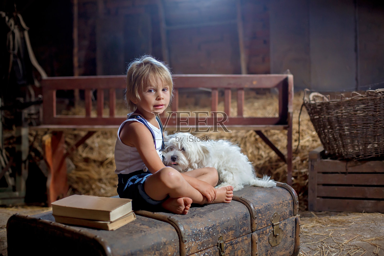 可爱的幼儿，金发男孩，坐在阁楼上的大行李箱上，身边的宠物狗看起来很伤心。照片摄影图片