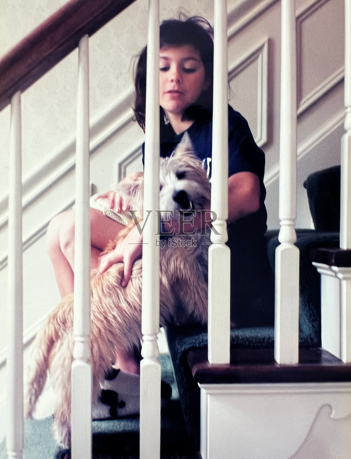 90年代的女孩和狗在台阶上照片摄影图片