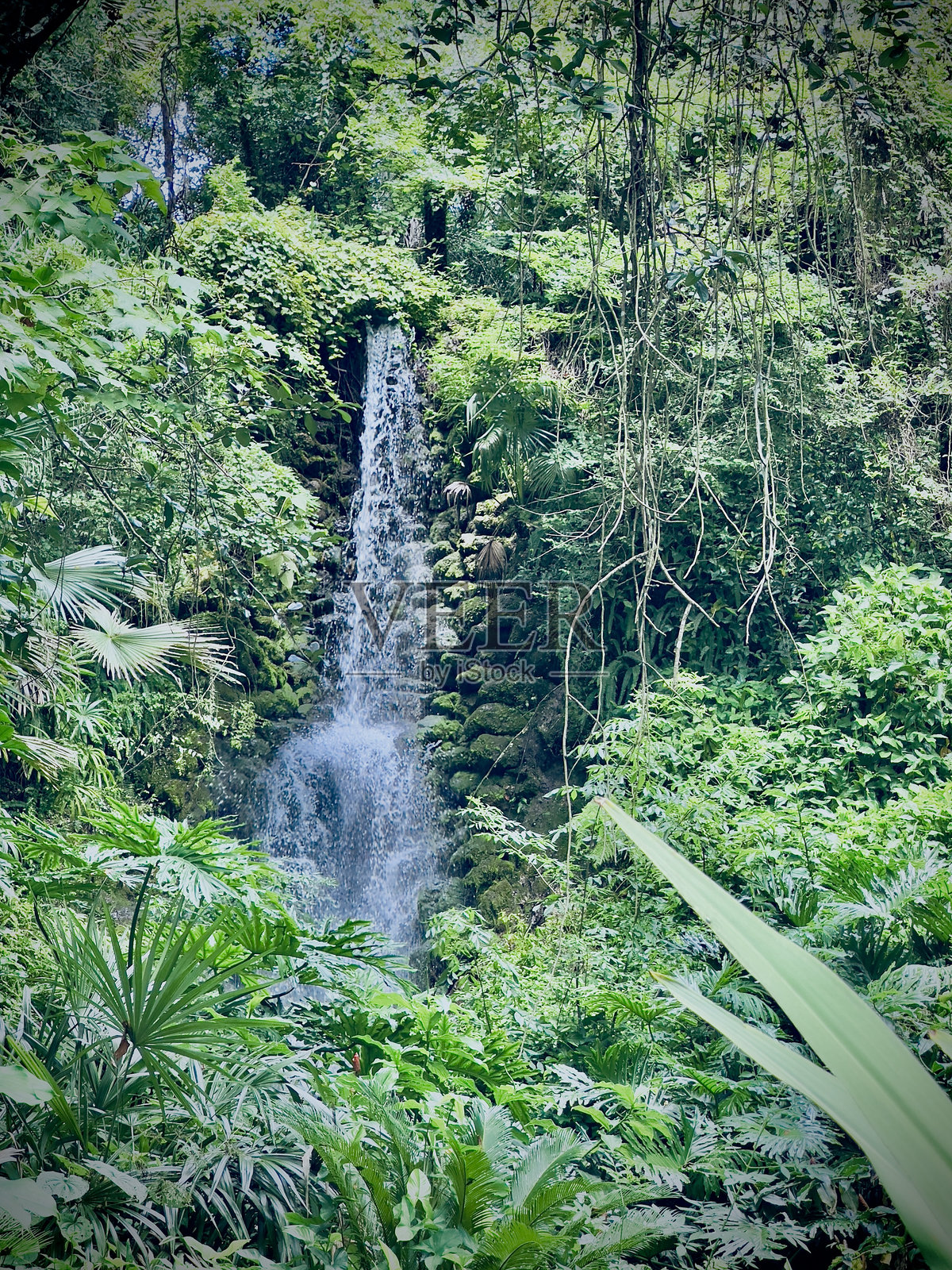 瀑布的乐趣照片摄影图片