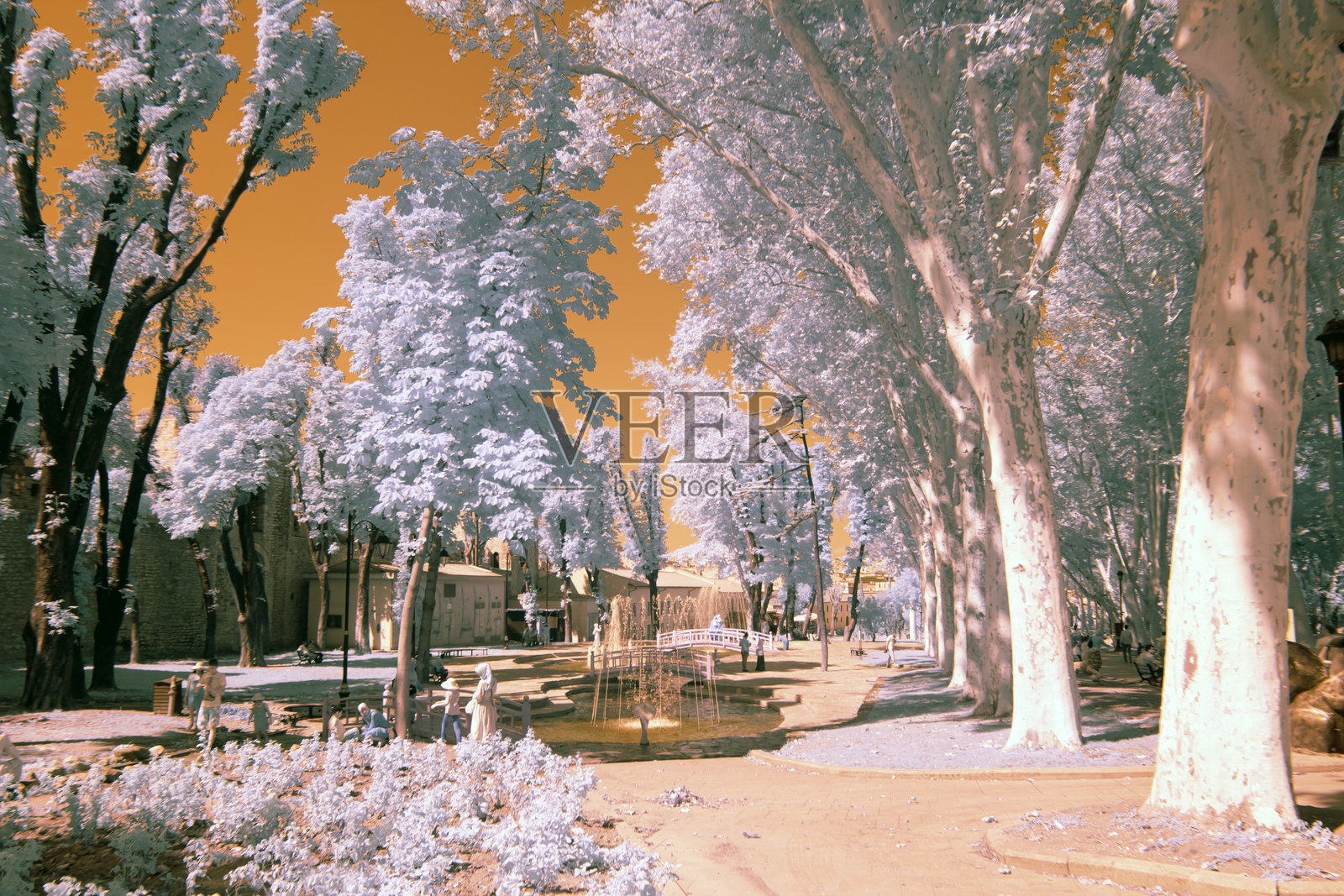 使用红外技术拍摄的照片照片摄影图片