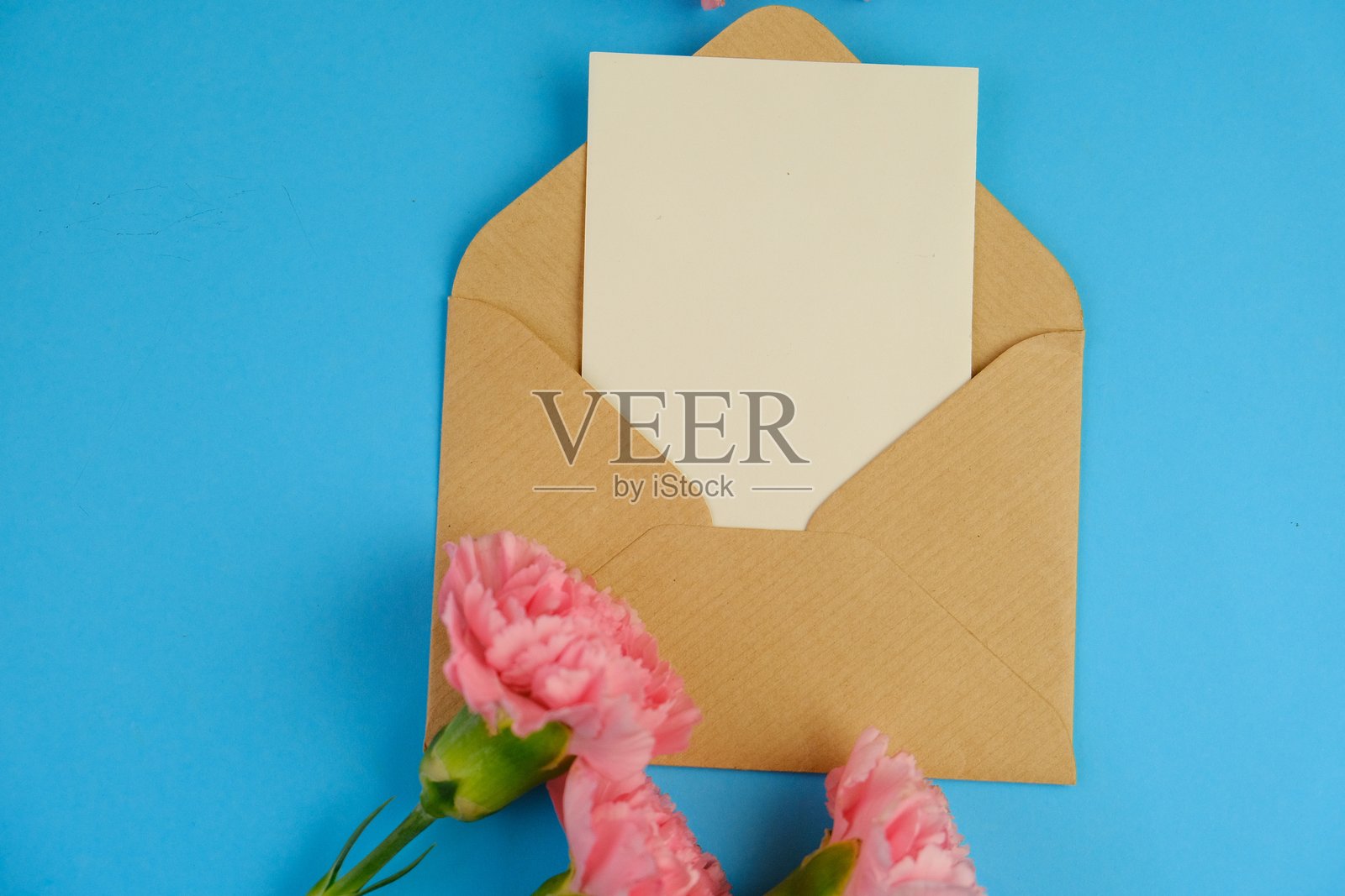 俯视镜头展示粉色玫瑰花蕾和满天星，背景为宁静的浅米色，留有文字空间以便传达您的信息，爱情与浪漫概念。照片摄影图片