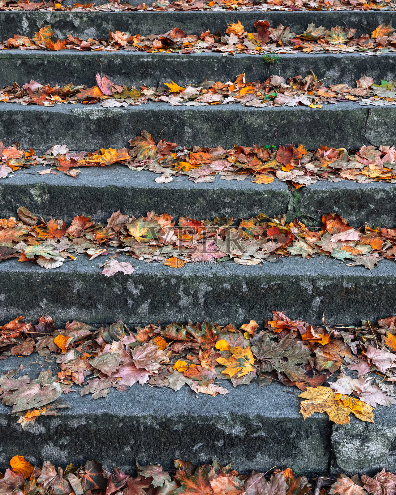 秋叶覆盖的石阶照片摄影图片