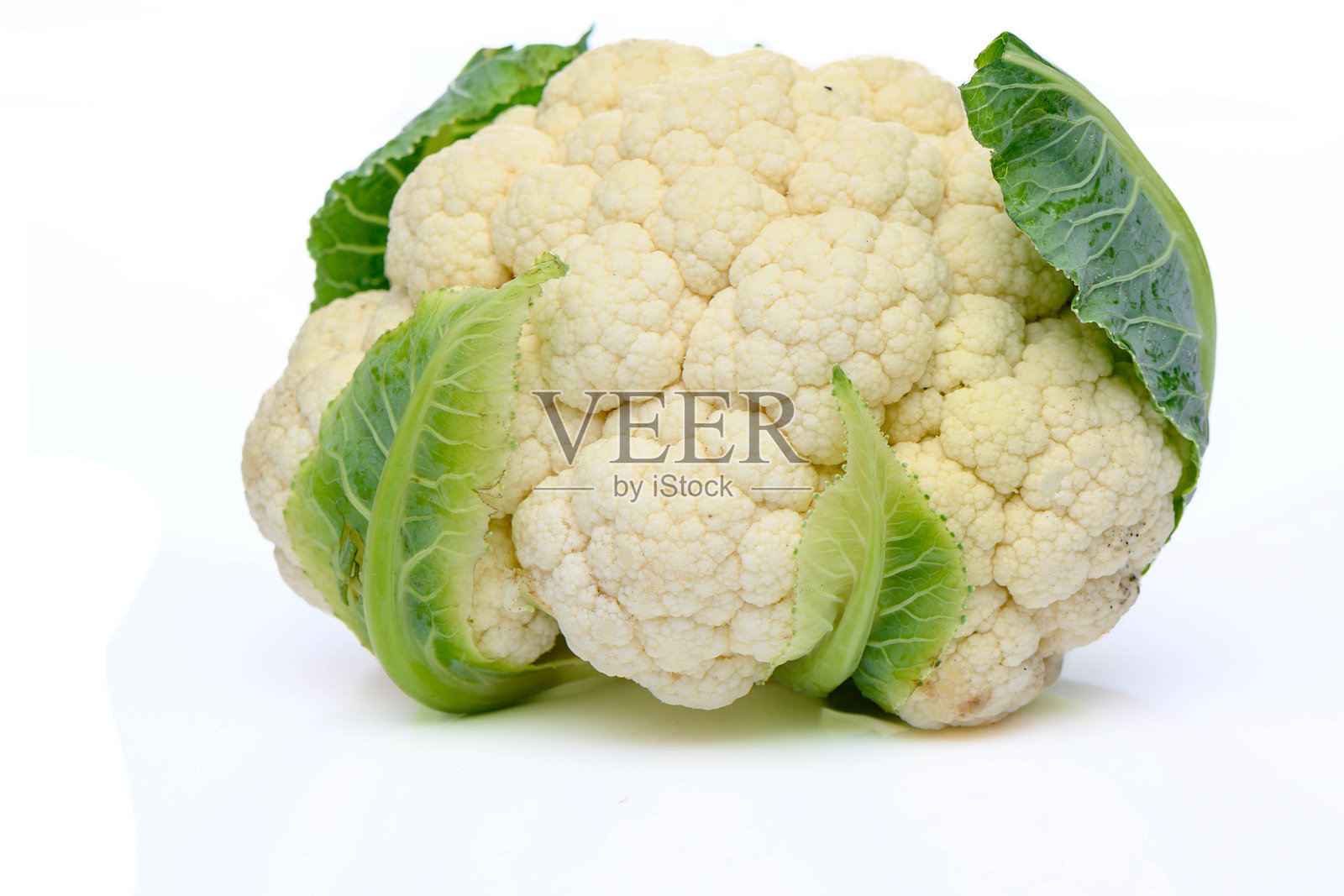 白色背景上的花椰菜。照片摄影图片