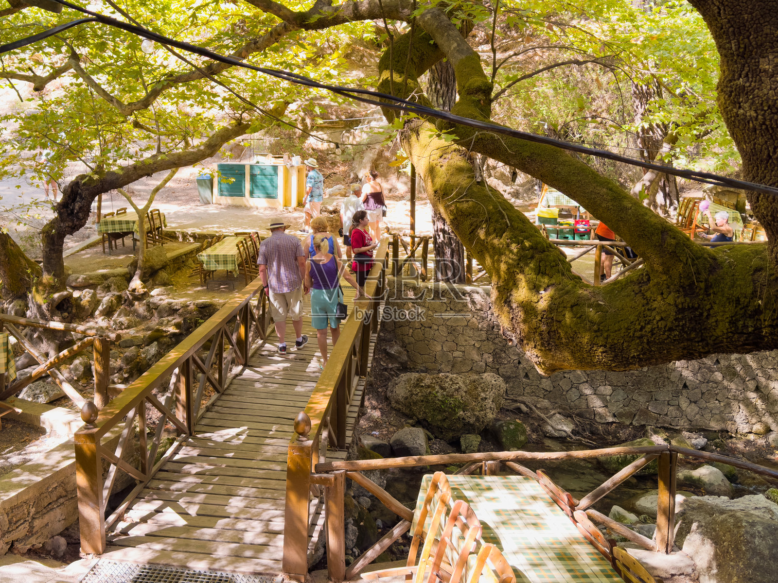 一群人悠闲地走在被郁郁葱葱的绿树环绕的木桥上。气氛宁静,突显了大自然的美丽。照片摄影图片