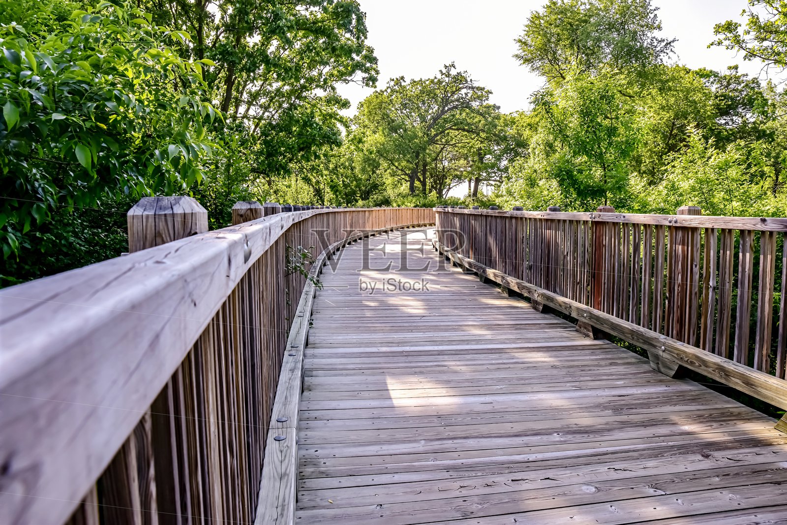 树木间的小径上方的步行桥照片摄影图片