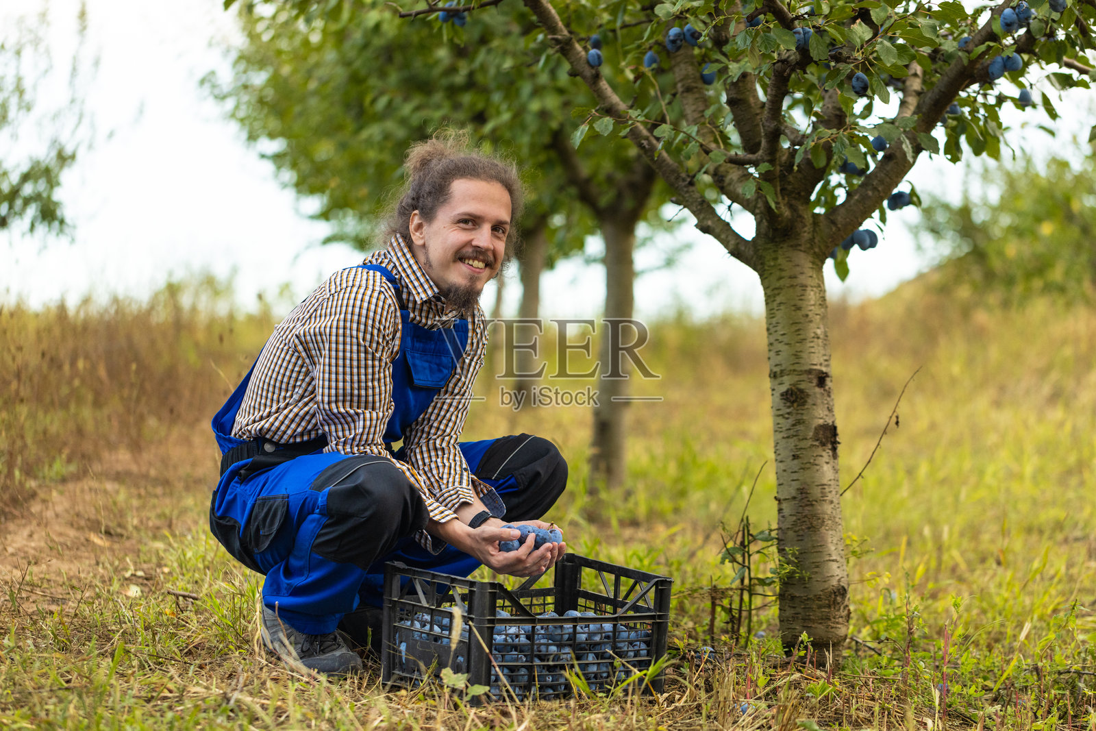 果园里男性收割者的肖像照片摄影图片