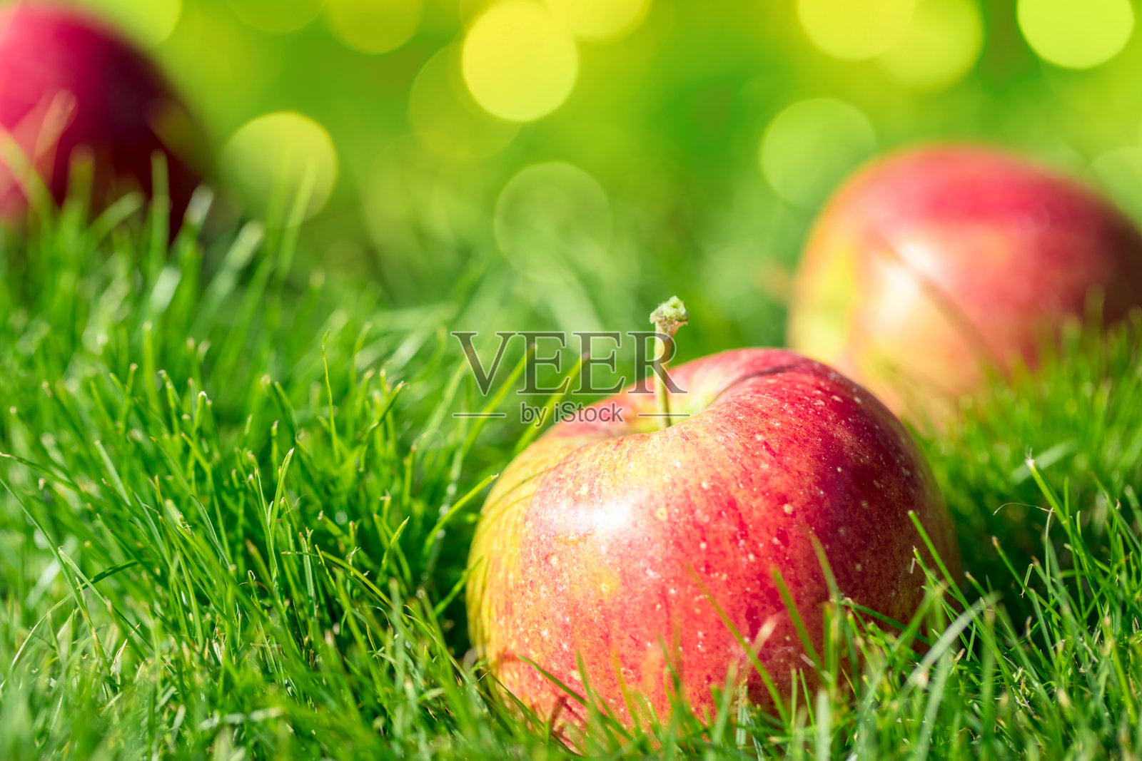 成熟的苹果在草地上，背景虚化的光点照片摄影图片
