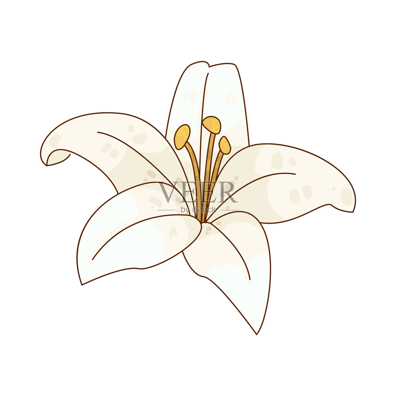 百合插画图片素材