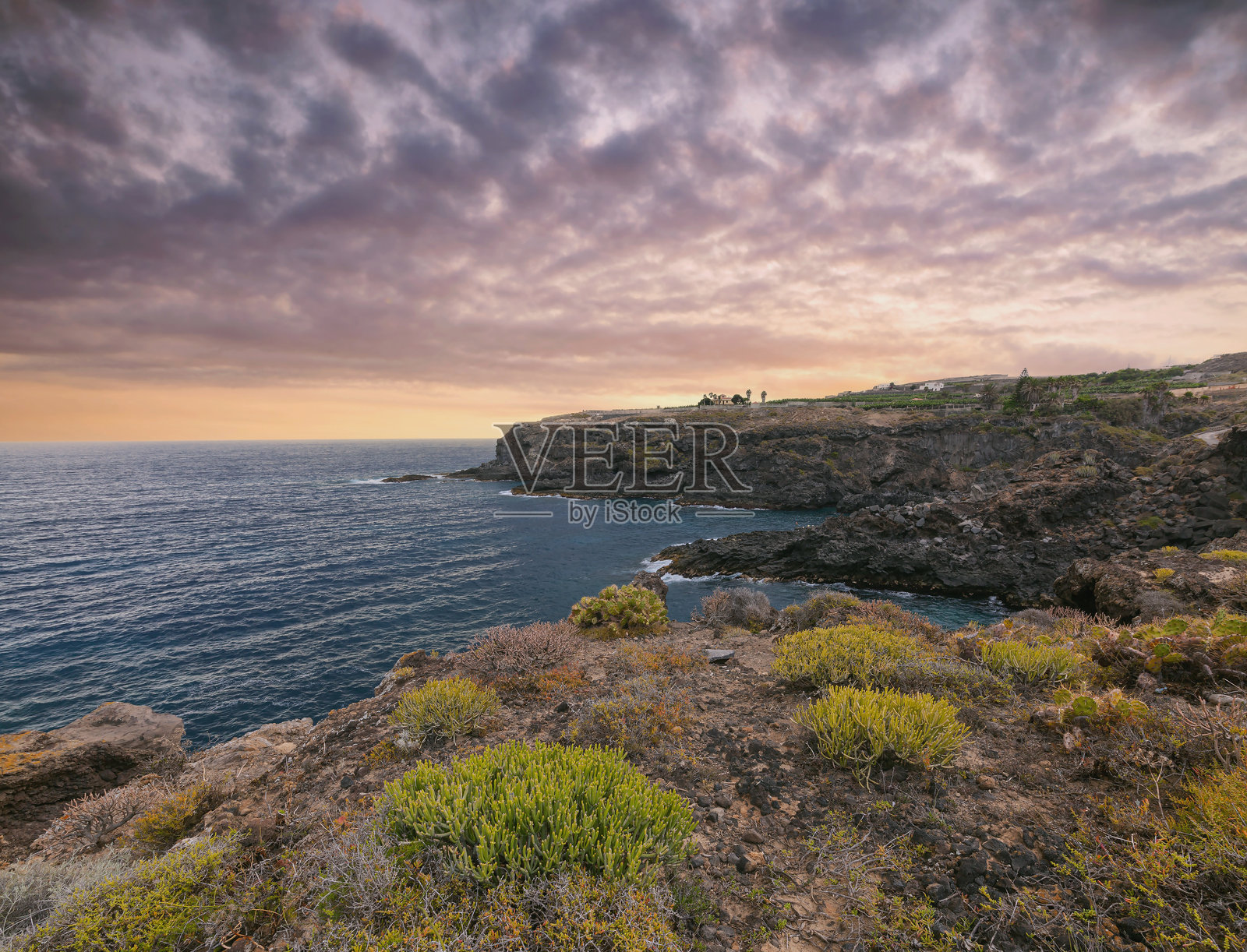 特内里费岛黎明时分的海岸线。西班牙，加那利群岛。照片摄影图片