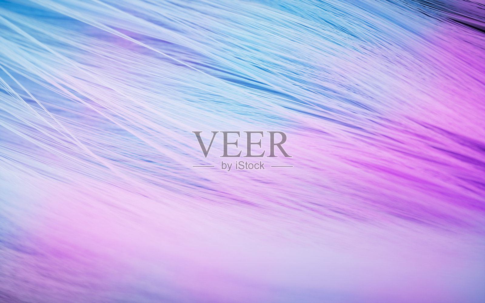 彩色波浪发型，3D渲染。照片摄影图片