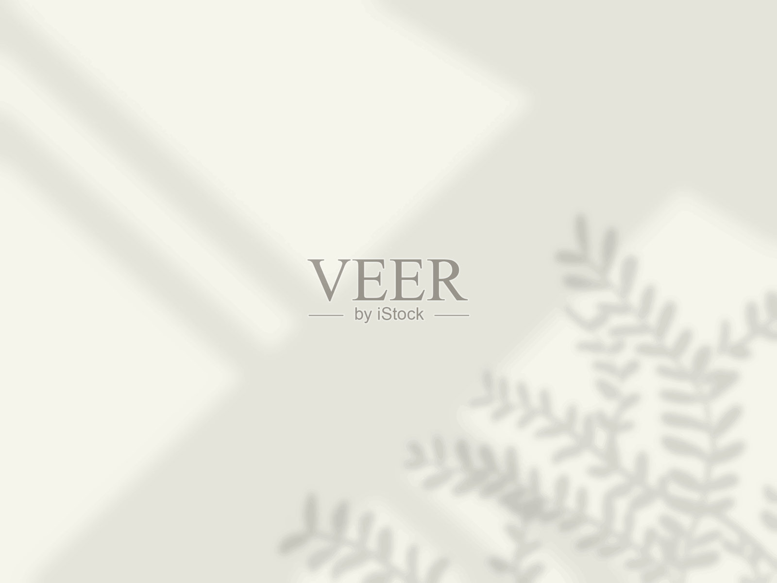 墙上窗户和植物的阴影背景插画图片素材