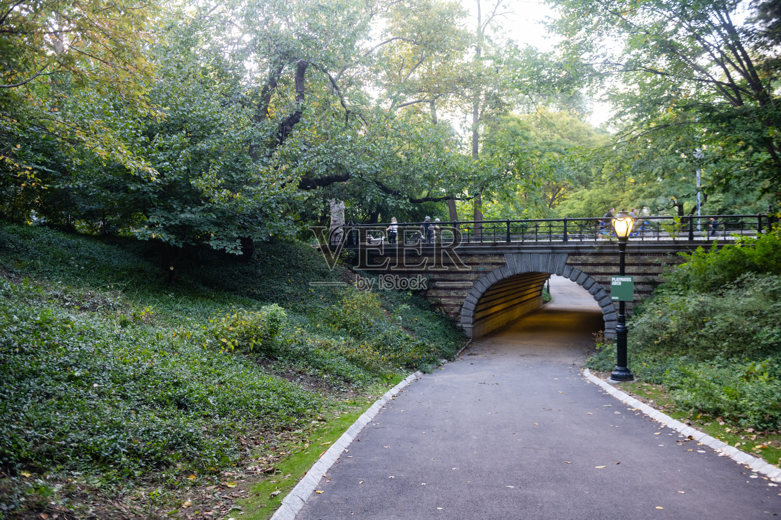 纽约中央公园郁郁葱葱的绿叶旁的人行道照片摄影图片