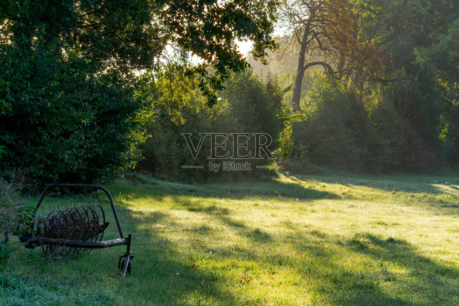 温暖的日出色彩中的空地，阳光透过树木洒下。乡村风景中，草地上有农业机械。照片摄影图片