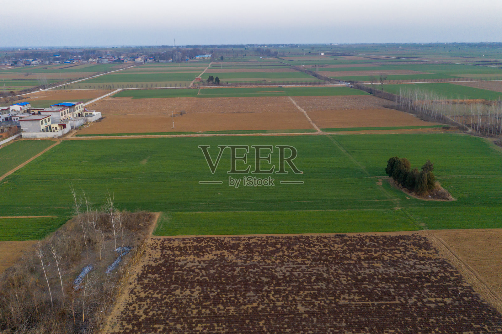 农村地区，小麦田，农田，平原的鸟瞰图，中国，亚洲。照片摄影图片