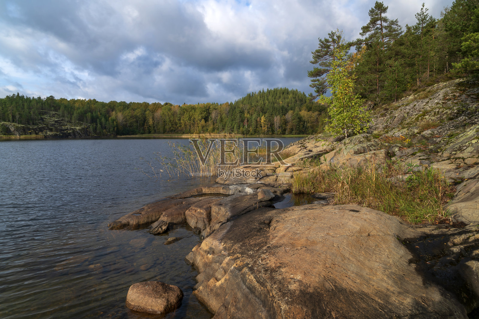 在阳光明媚的秋日，从卢米瓦拉村附近的拉多加湖岸边俯瞰，拉多加群岛，卡累利阿共和国，俄罗斯照片摄影图片