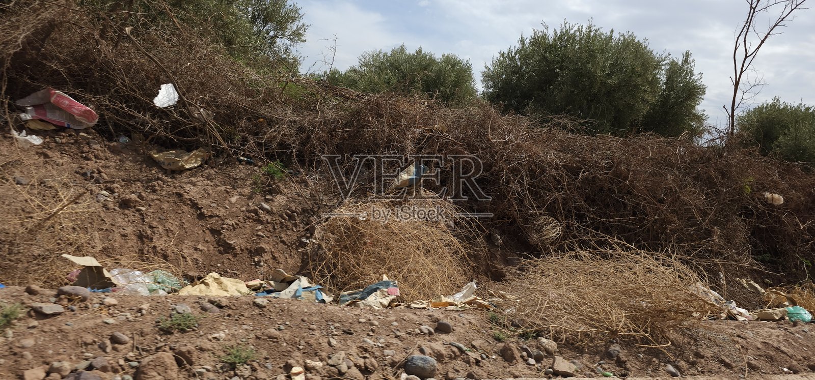 自然中的垃圾照片摄影图片