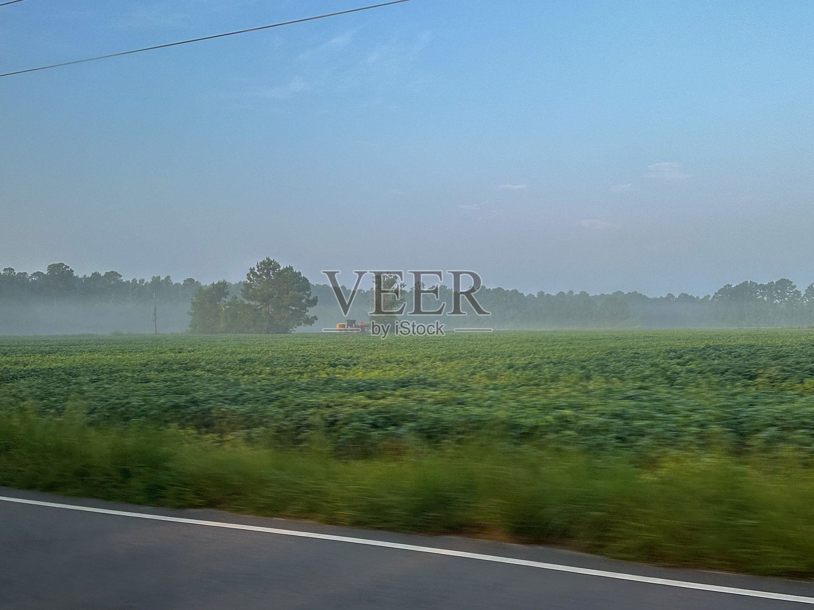 晨雾照片摄影图片