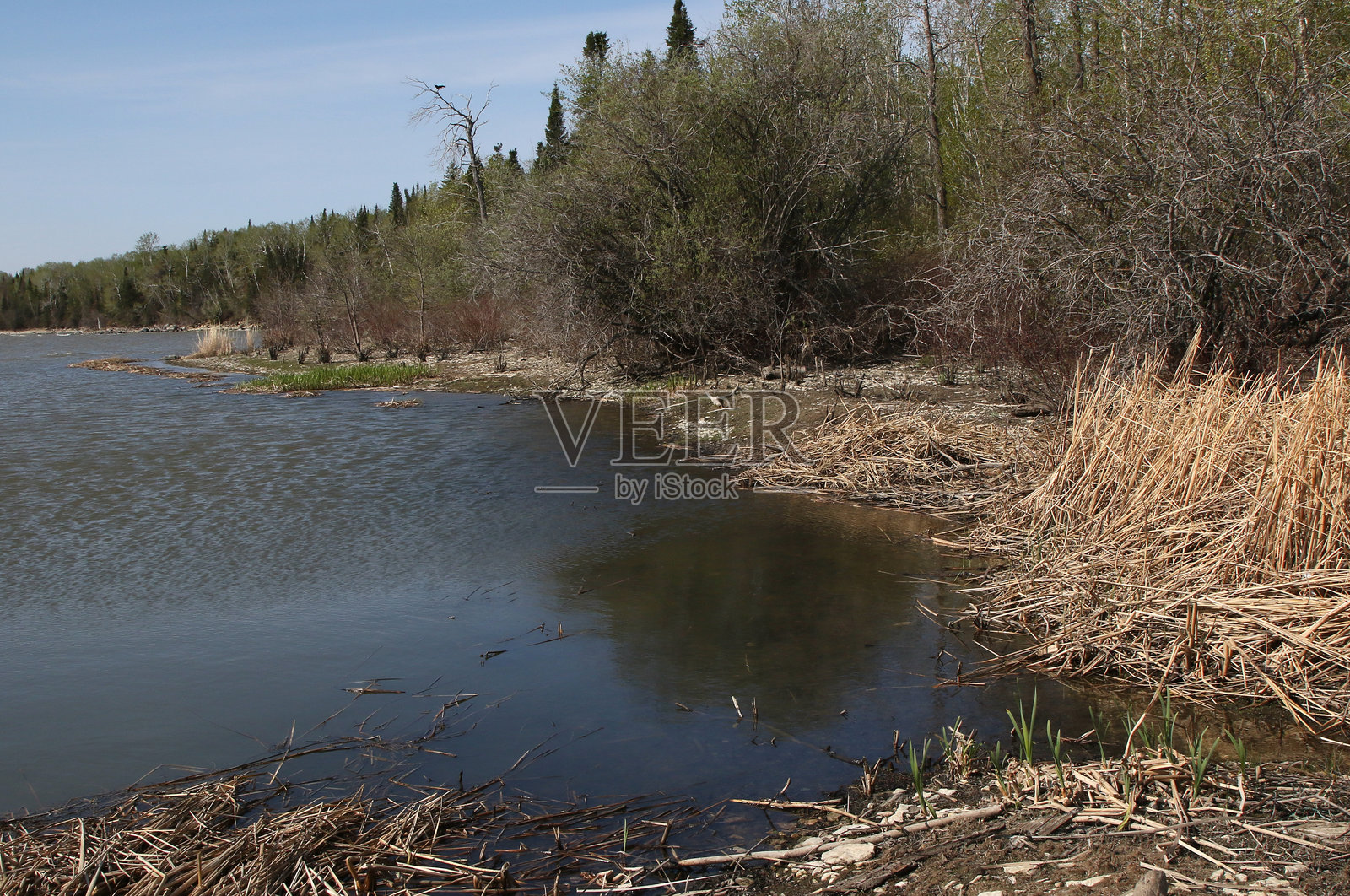 温尼伯湖，赫克拉磨石省立公园，曼尼托巴照片摄影图片