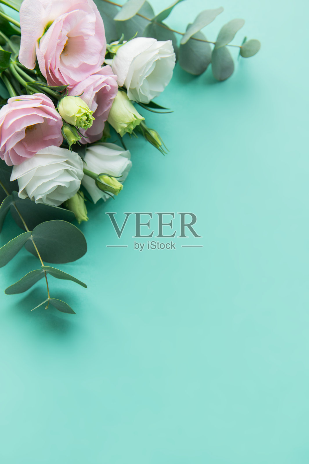 淡雅的粉色花卉和桉树叶在浅青色背景上的精美排列照片摄影图片