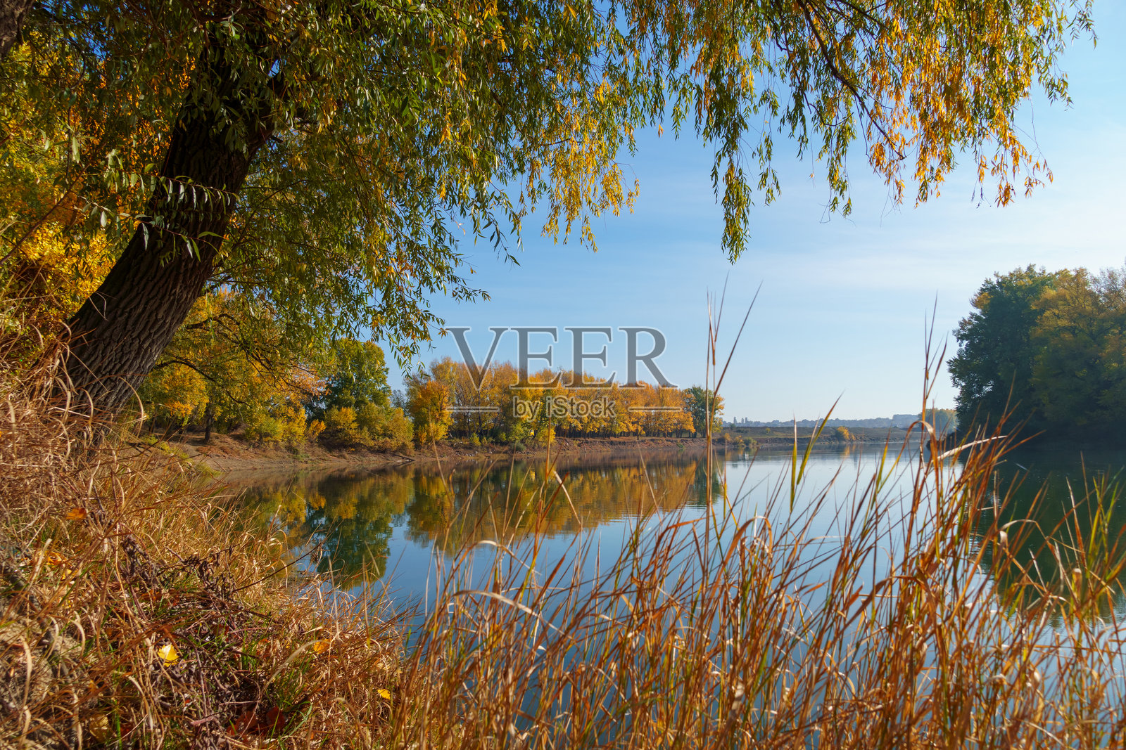 美丽的秋季风景，河流和森林在阳光明媚的日子里，蓝天上的白云，阳光与阴影交错。照片摄影图片