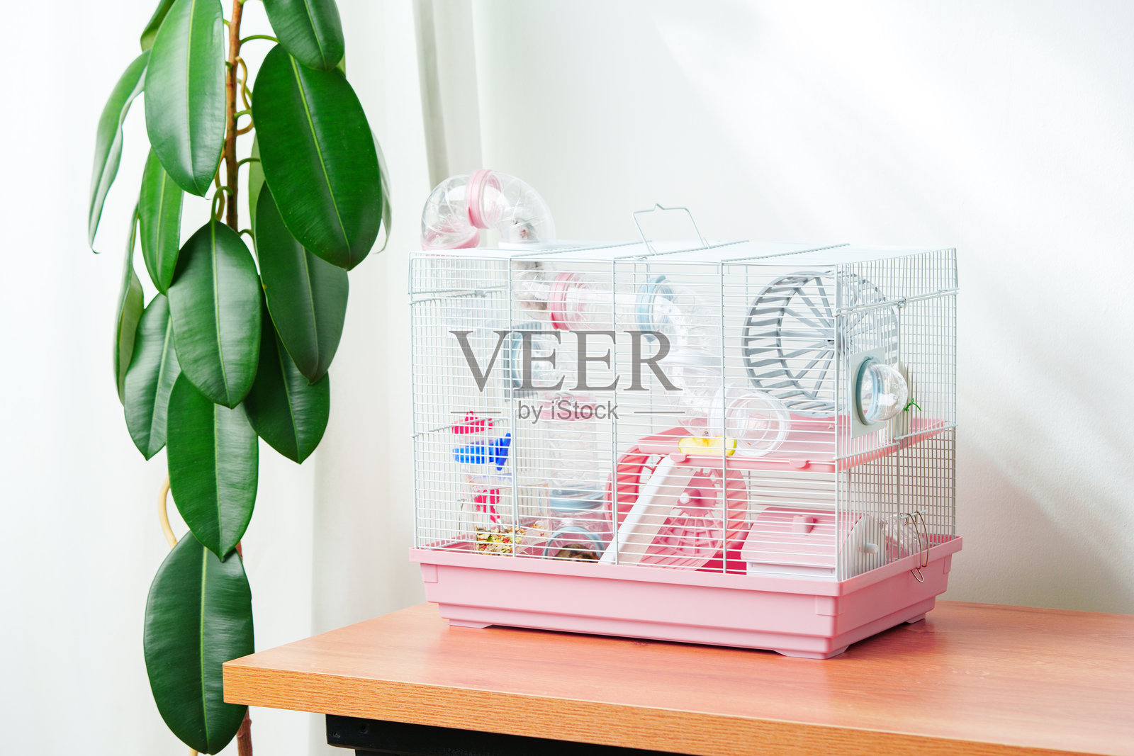 一个充满活力的仓鼠笼，配有轮子和配件，背景是室内绿色叶子的装饰。照片摄影图片