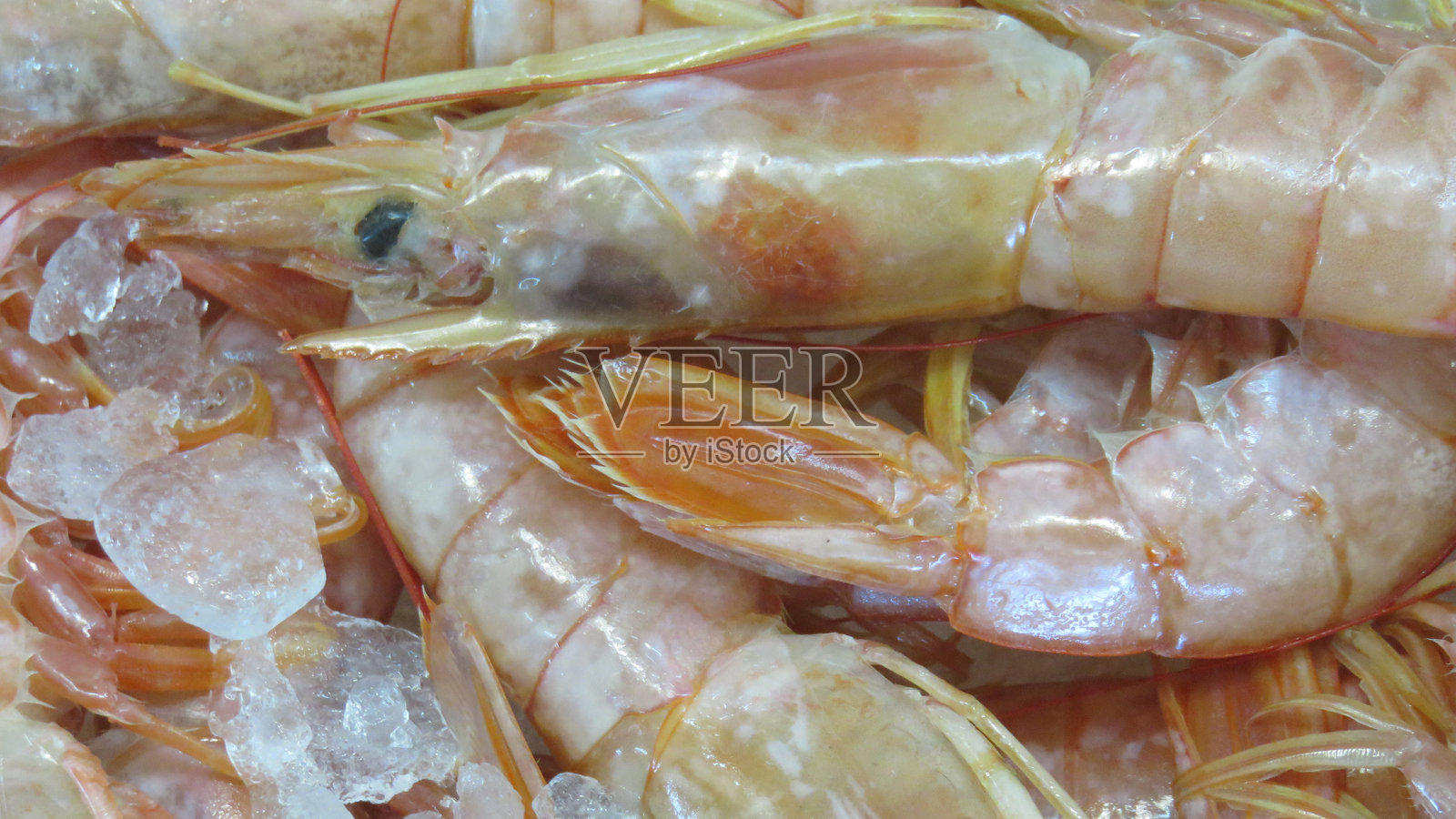 出售鱼类的特写镜头照片摄影图片