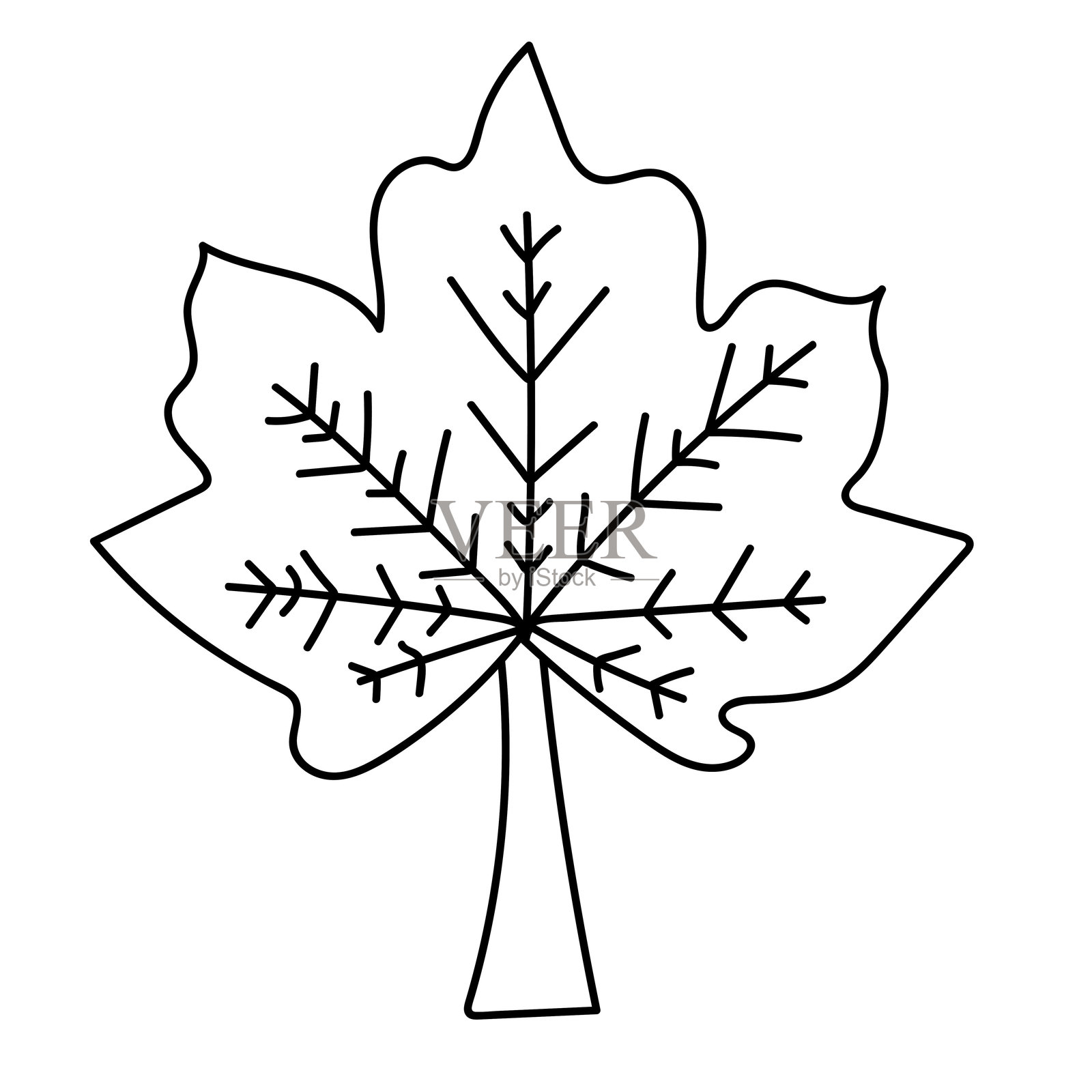 手绘植物叶子的线条画。插画图片素材