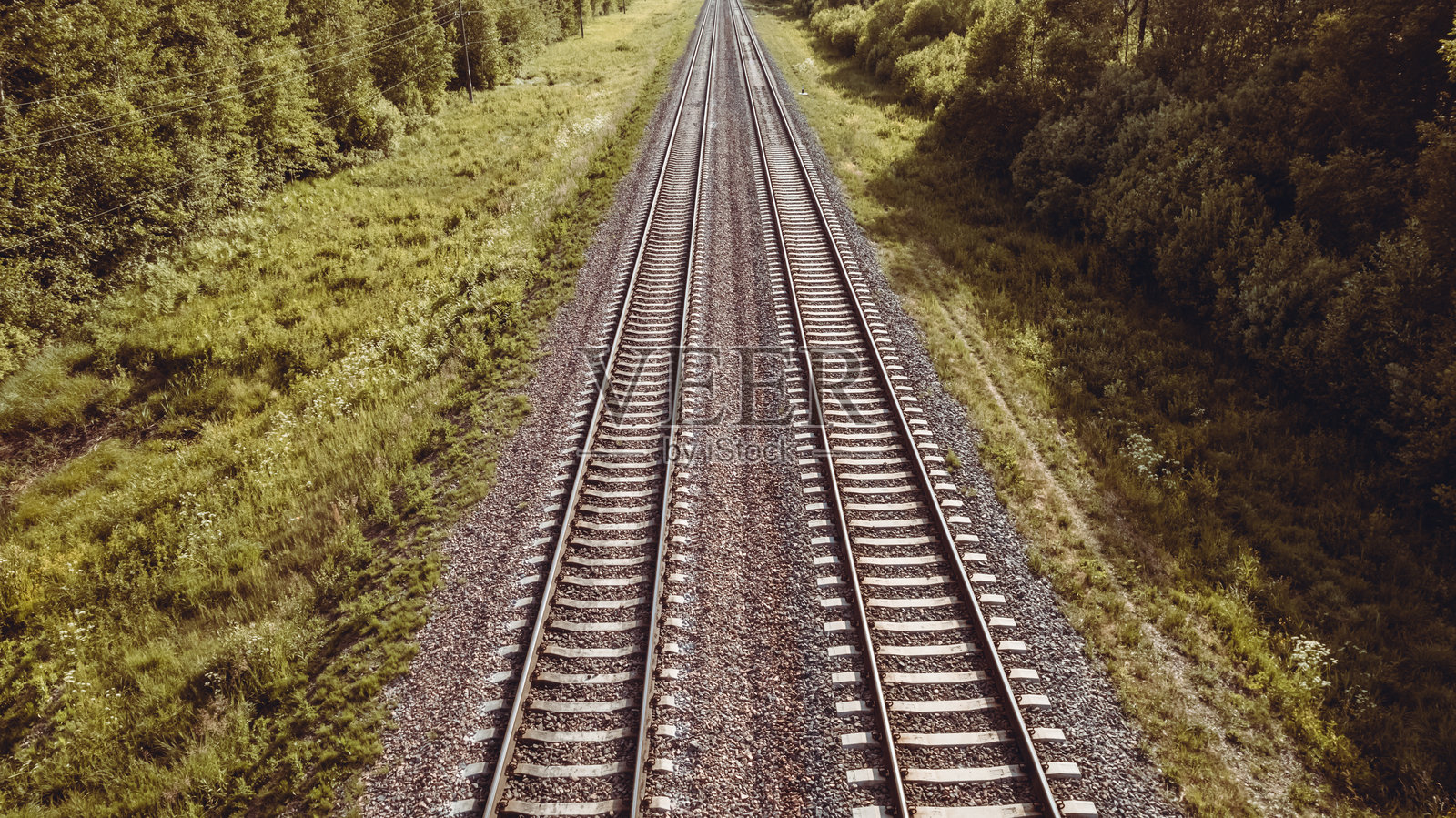 铁路轨道在森林背景下照片摄影图片