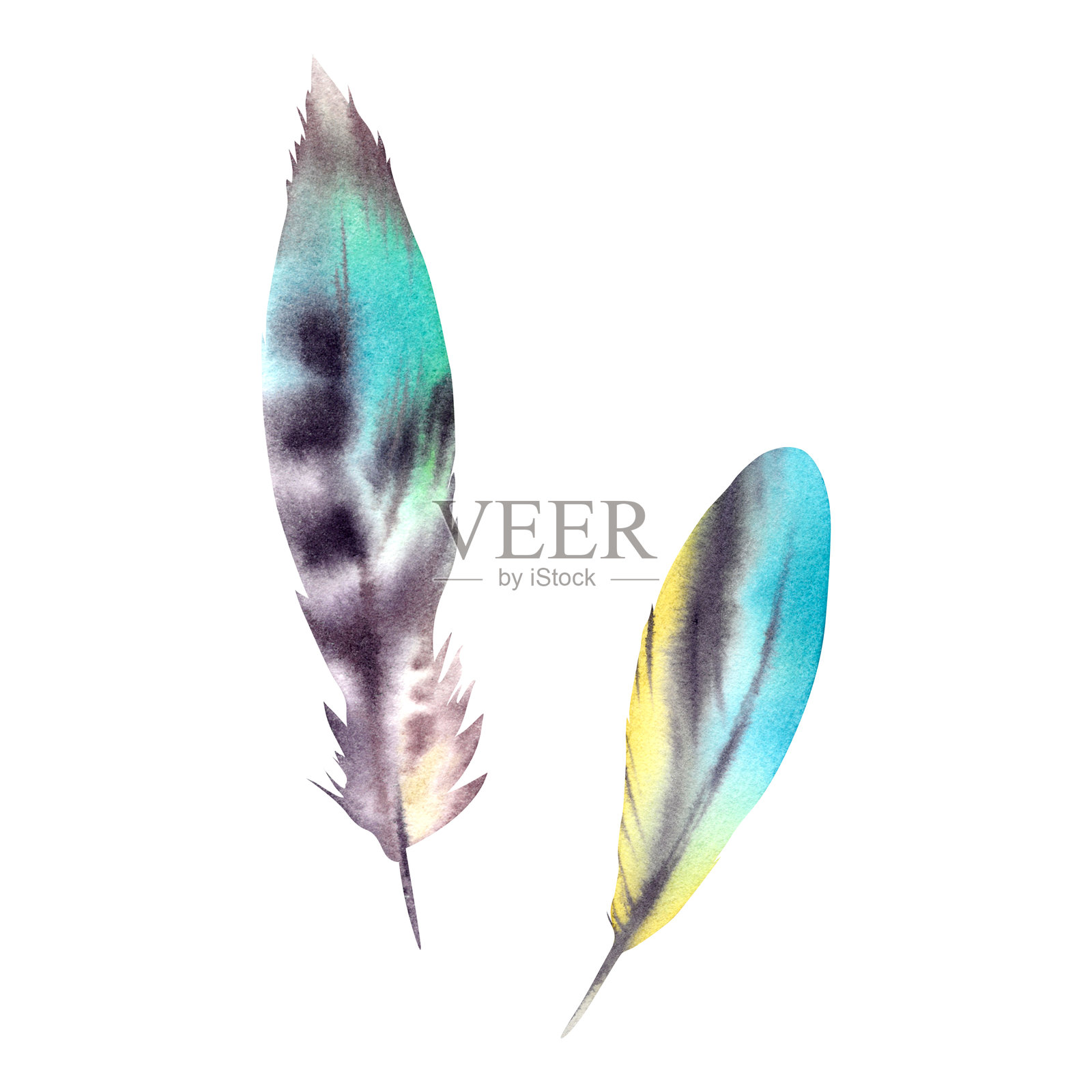 一组棕色和蓝色的羽毛，背景为白色孤立。手绘水彩插图。波西米亚风格的野生森林鸟类羽毛，包括雉鸡、布谷鸟、鹧鸪和火鸡。插画图片素材