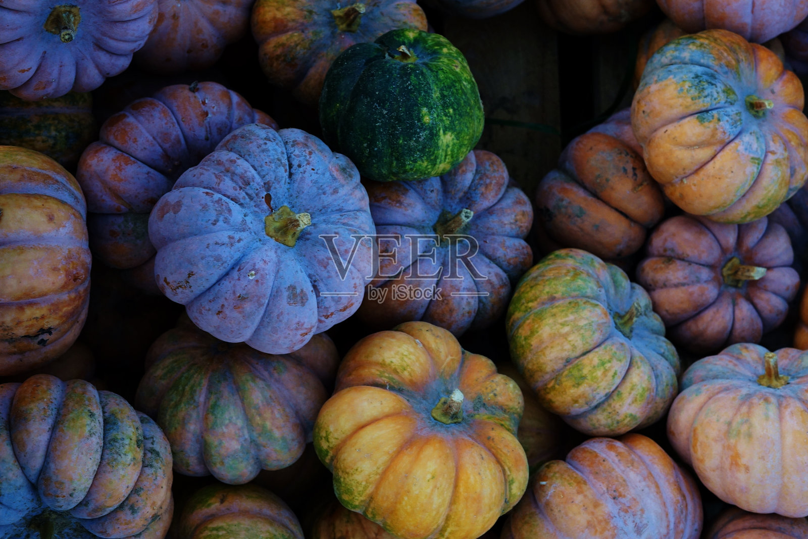 万圣节南瓜照片摄影图片