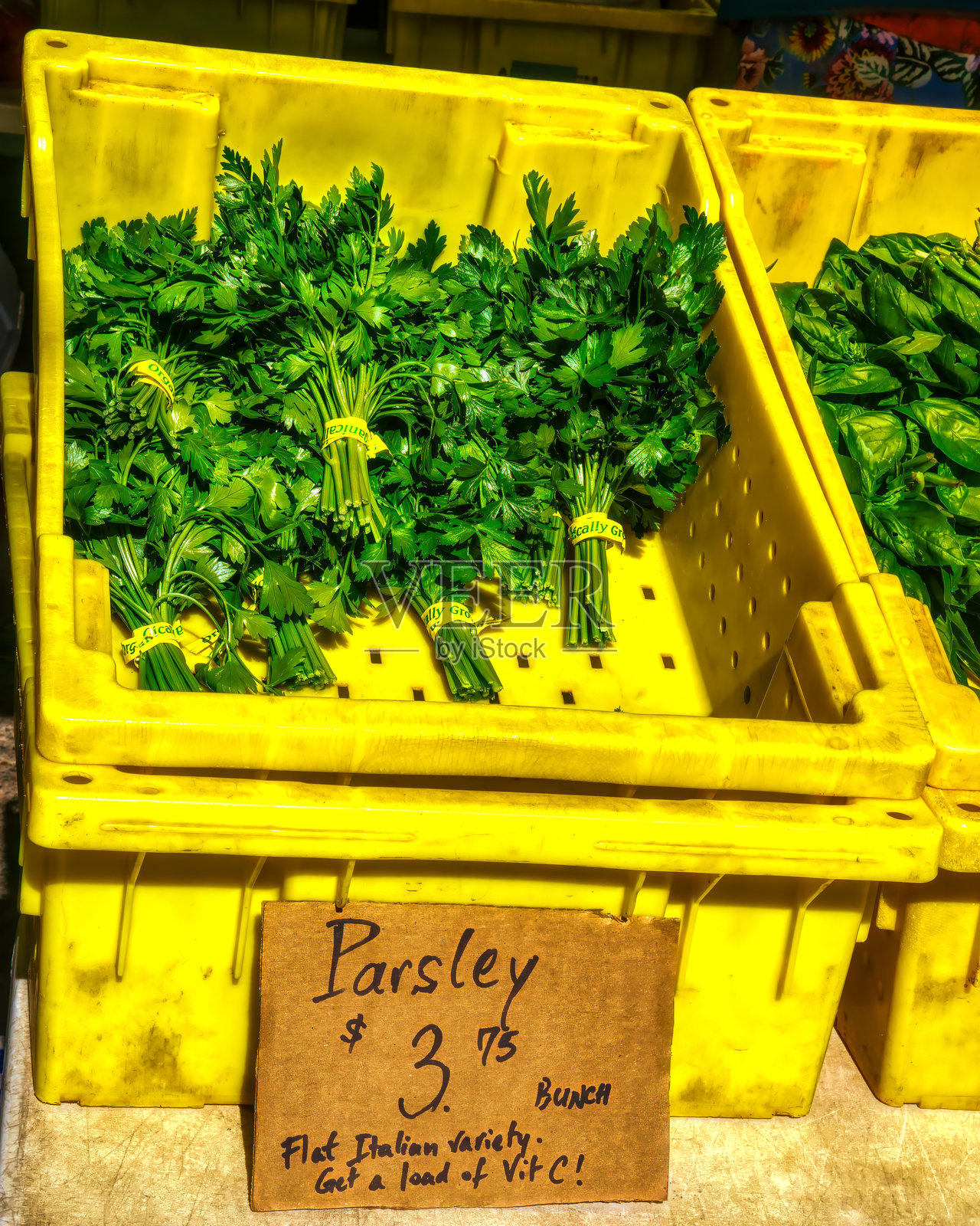农贸市场出售意大利香菜照片摄影图片
