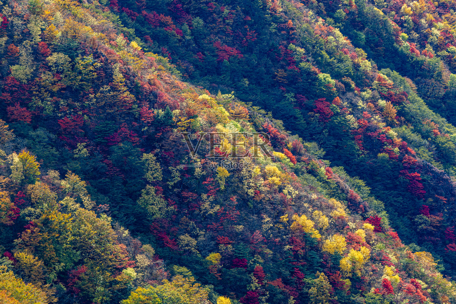 从日光的半月山俯瞰壮观景色照片摄影图片