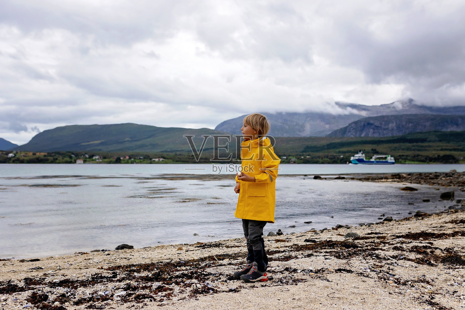 美丽的金发男孩在挪威的海滩上捡贝壳，正在做心形。照片摄影图片