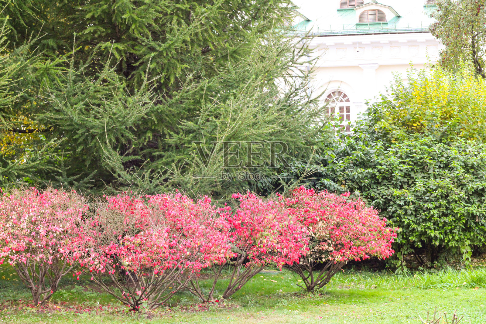 一座美丽的白色建筑，前面有一个可爱的花园。照片摄影图片
