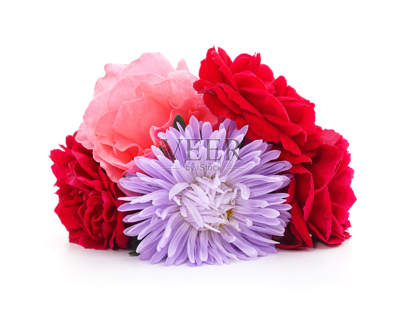 玫瑰花束。照片摄影图片