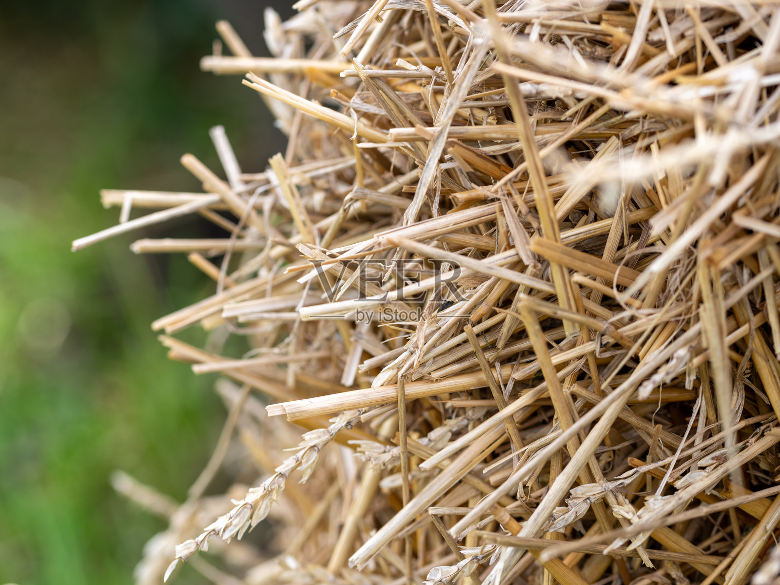 农场上的干草捆特写照片摄影图片