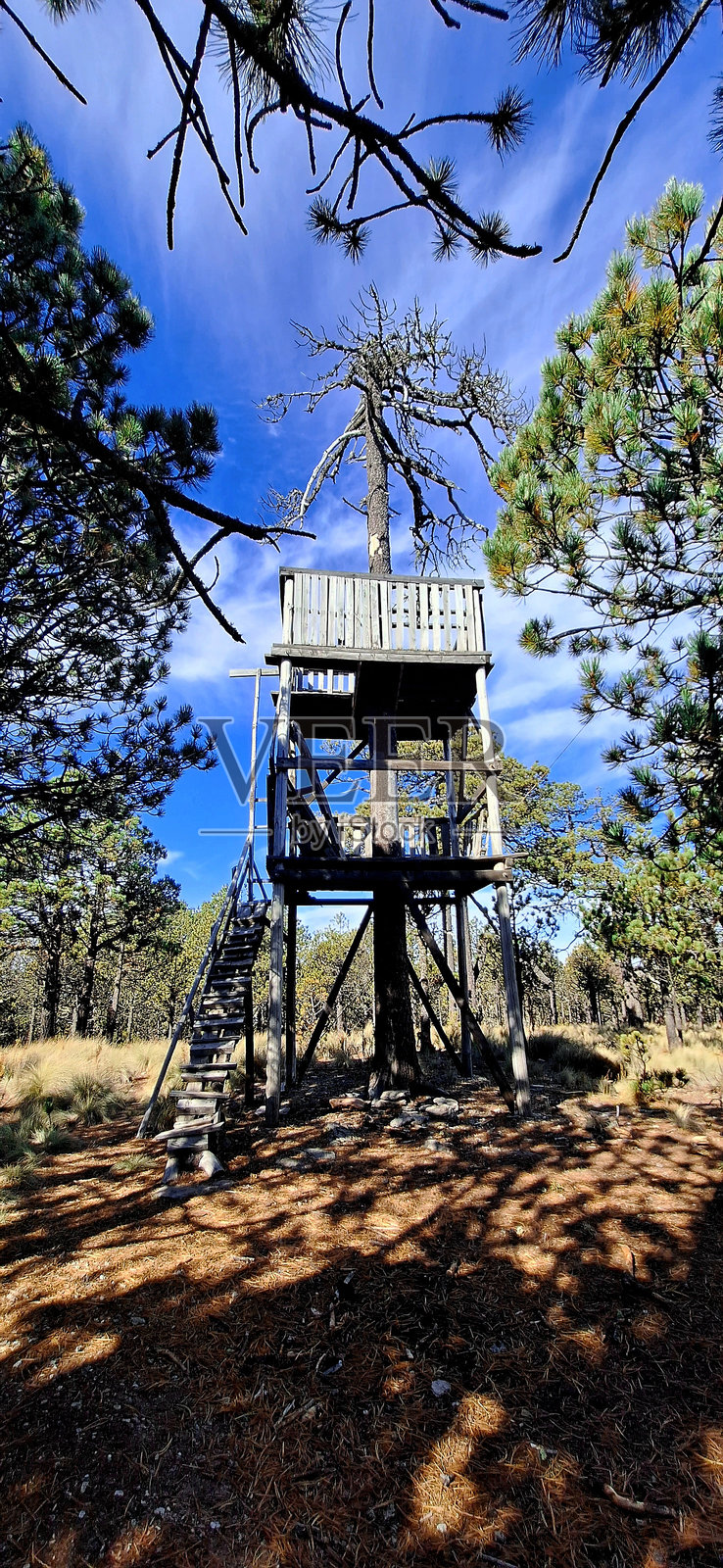 树屋照片摄影图片