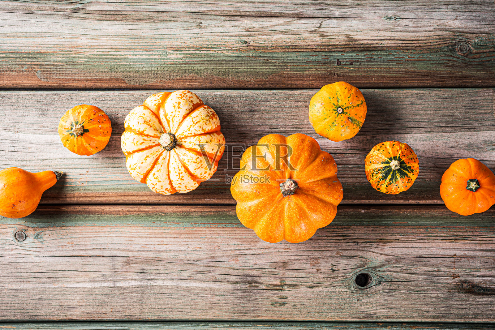 秋季南瓜感恩节背景照片摄影图片
