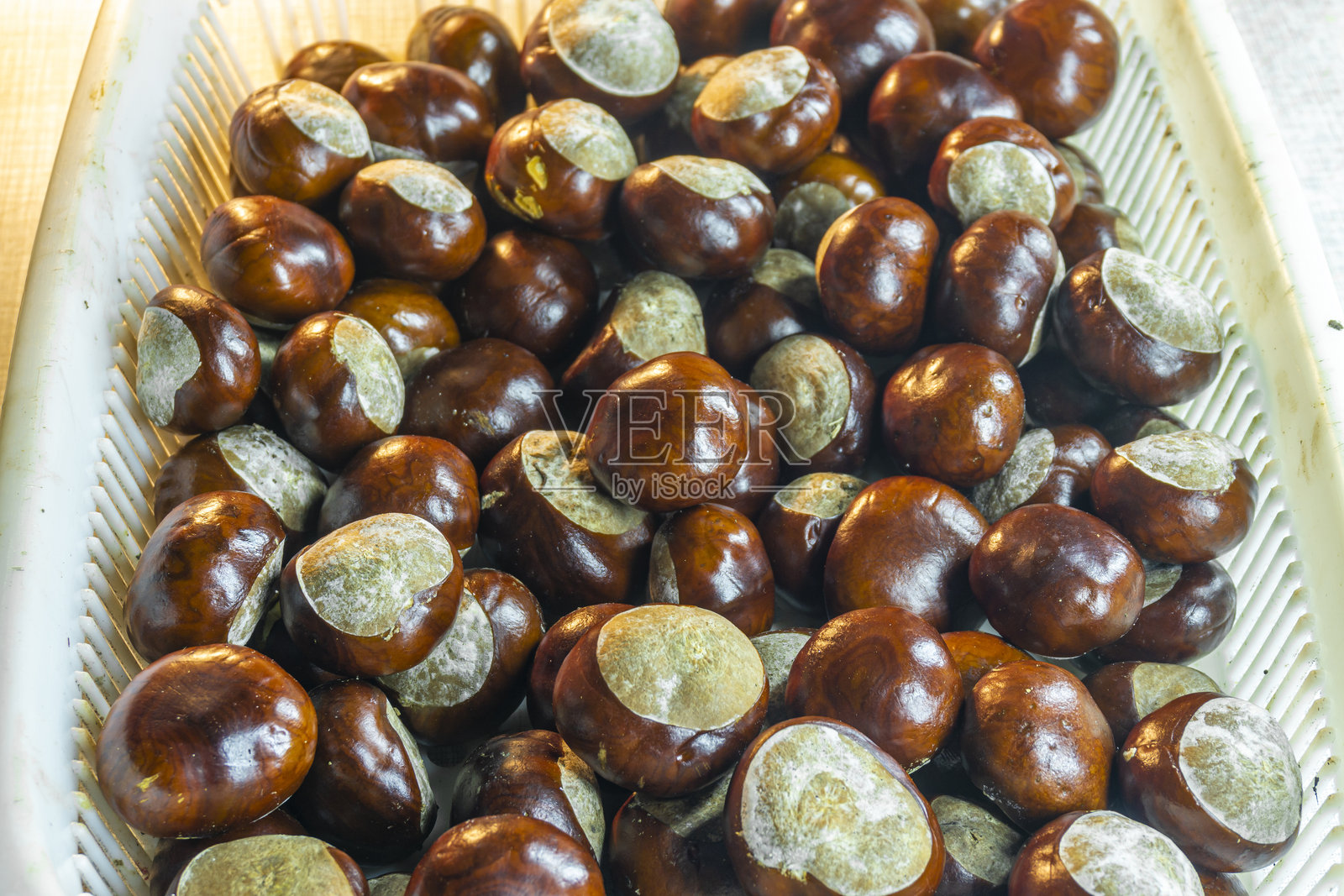 一篮白色塑料筐里的马栗。马栗属，巴克艾。照片摄影图片