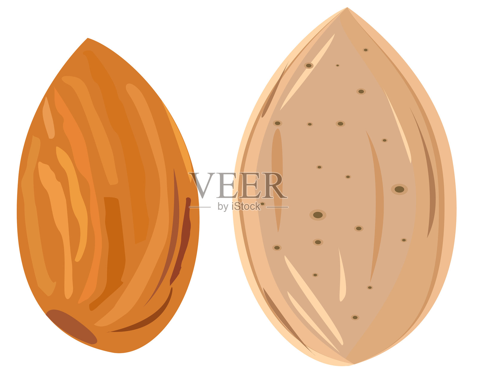 杏仁插画图片素材