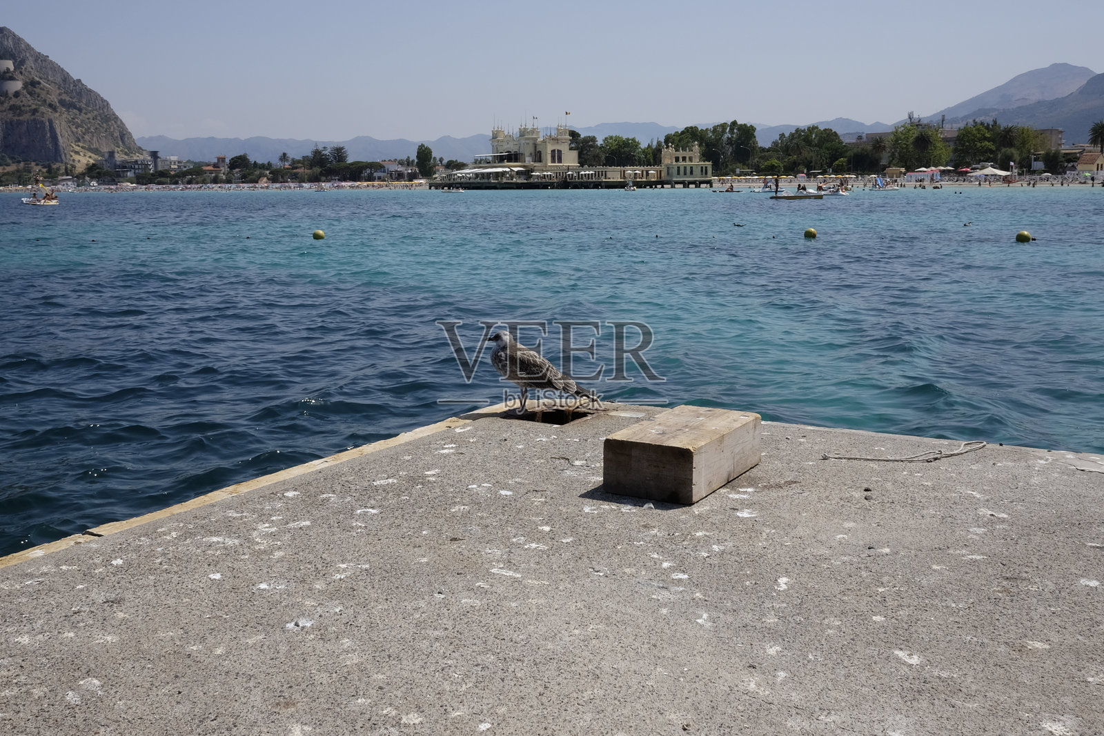 海边码头上的海鸥照片摄影图片