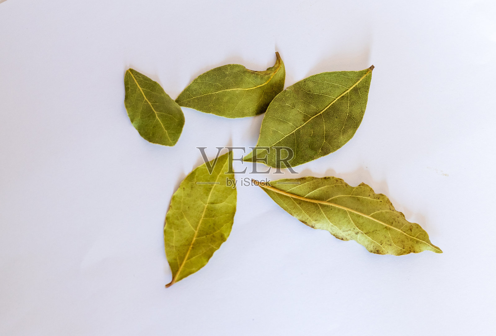 白色背景上的月桂叶特写，美食照片摄影图片