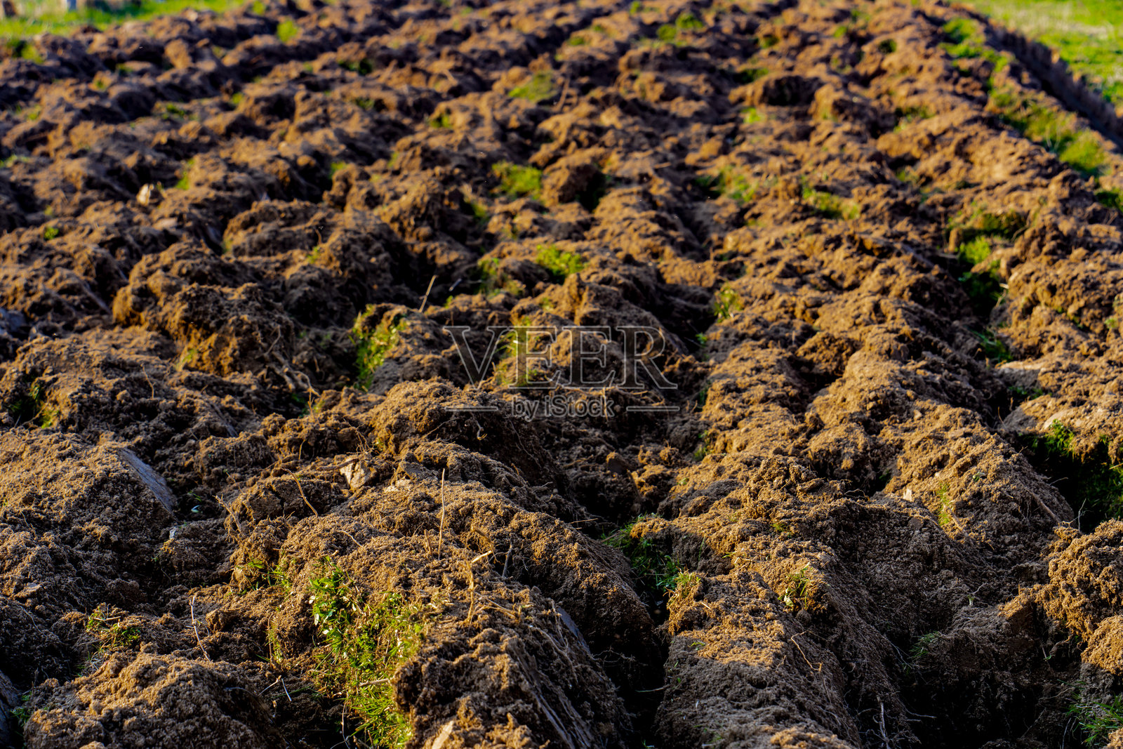 傍晚阳光下新翻的土壤照片摄影图片
