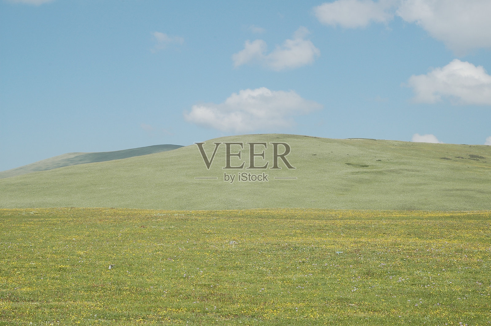 高原牧场照片摄影图片