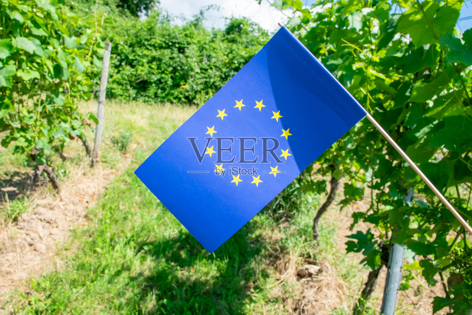 蓝色的欧盟旗帜，上面有黄色星星，背景是自然风光。照片摄影图片