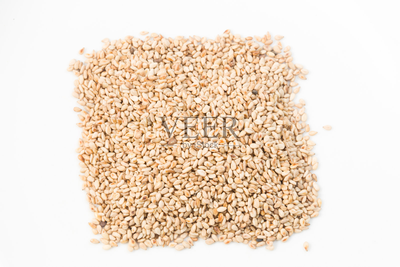 芝麻照片摄影图片