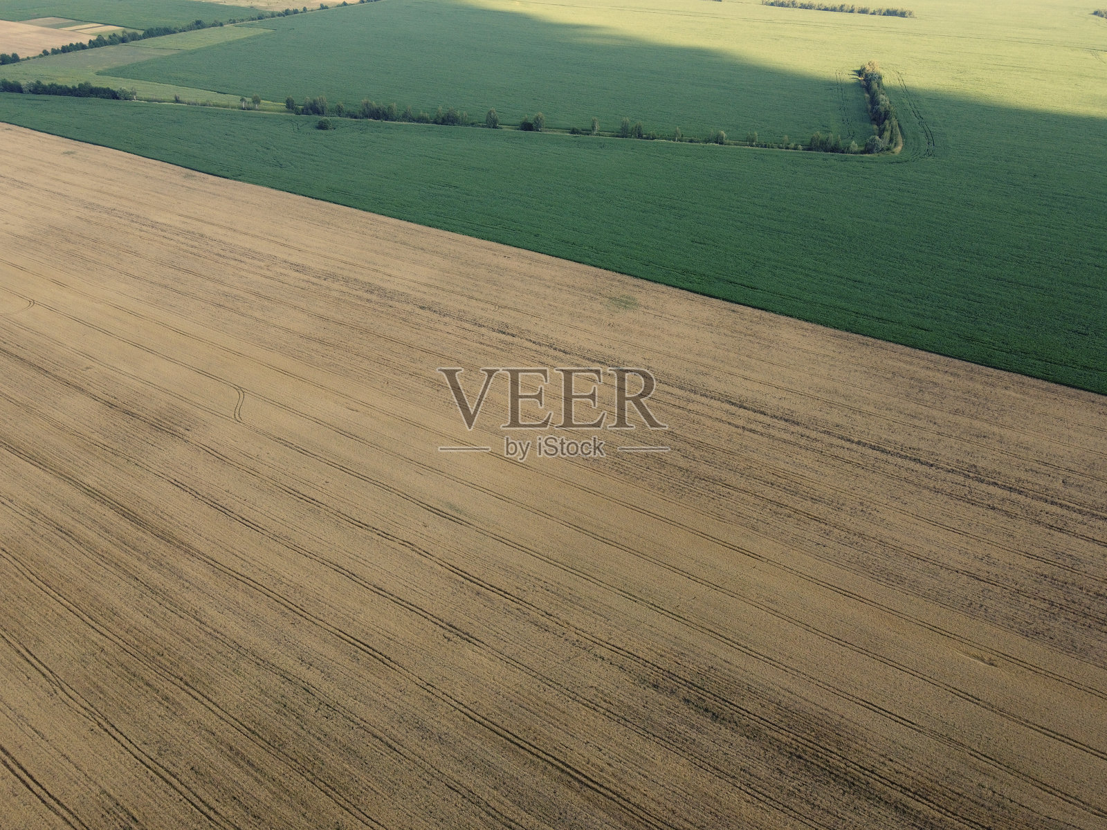 农业田地，俯视图。农田，鸟瞰风景。照片摄影图片
