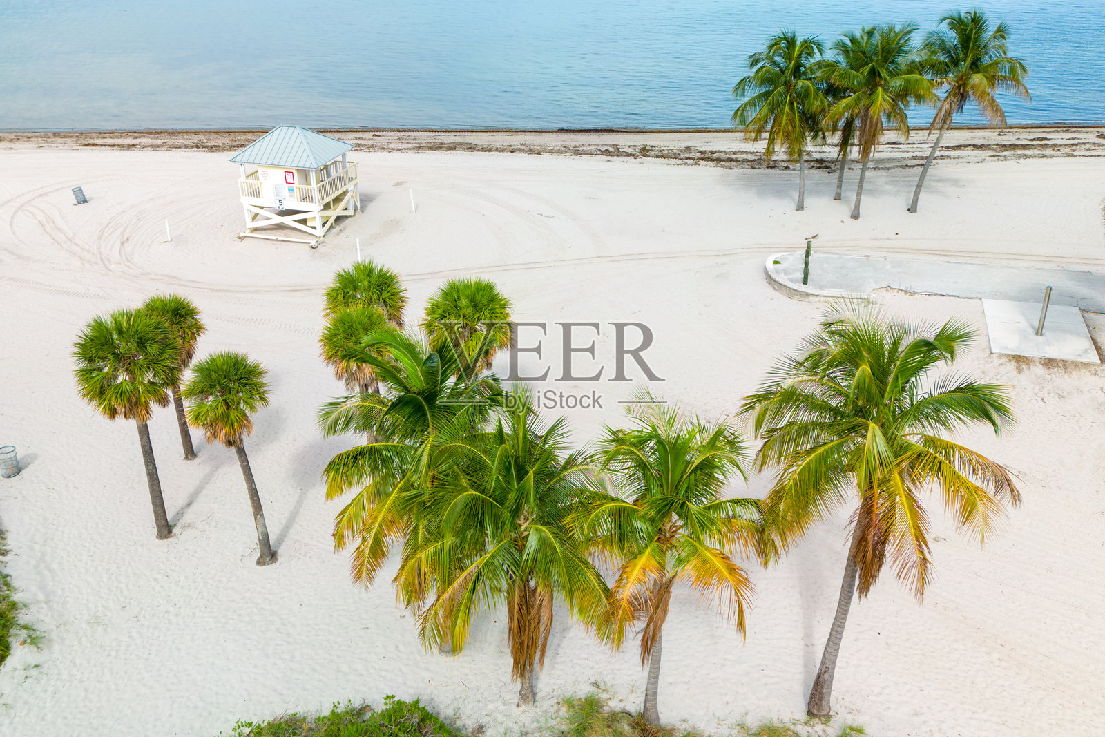 沿海岸线的美丽海景，棕榈树环绕，夏日阳光下的闪耀泻湖照片摄影图片